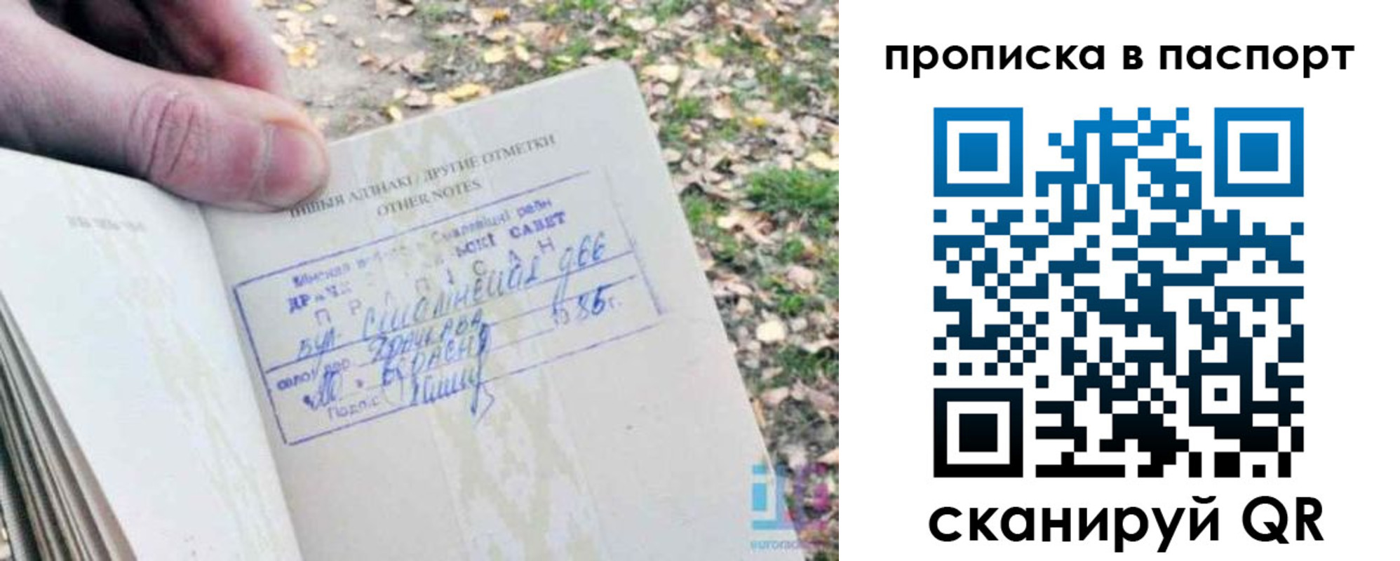 временная регистрация собственник в Палласовке